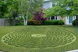 ...a giant, miniature crop circle, there on the lawn...